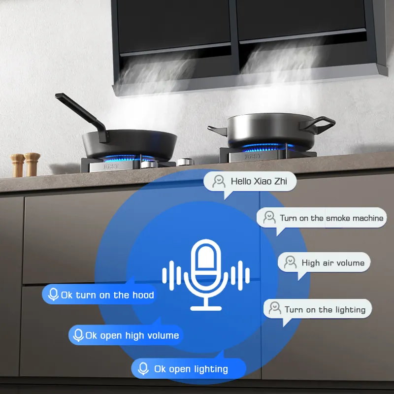 Wall Mounted Stainless Steel Electric Cooker Hood With Touch Control