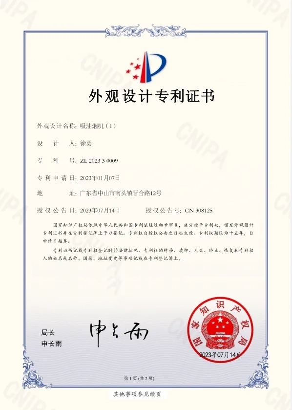Design patent (1)
